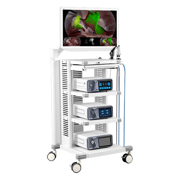 Endoscopic Solution