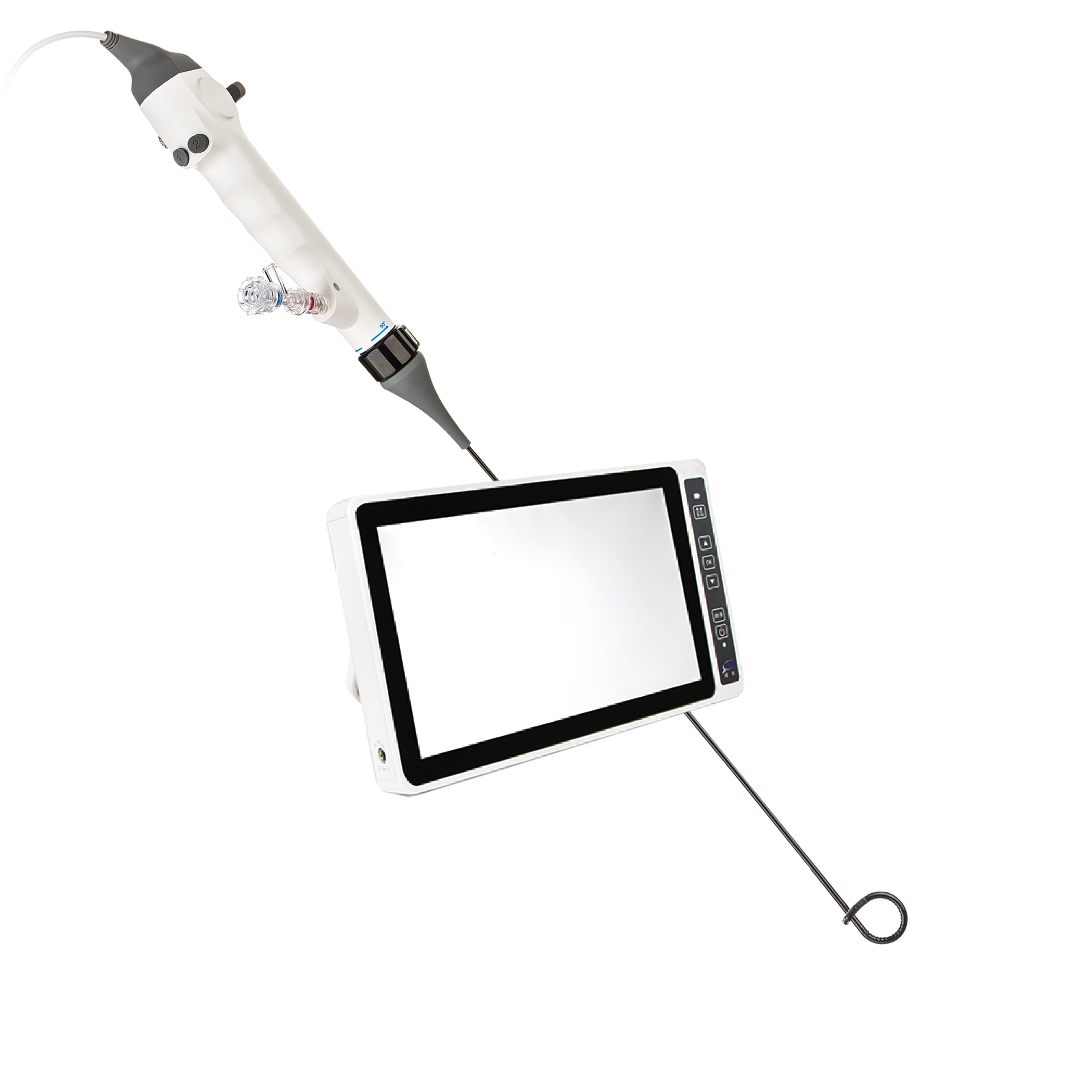 Disposable electronic ureteropelvic endoscopic catheter for renal pelvis examination