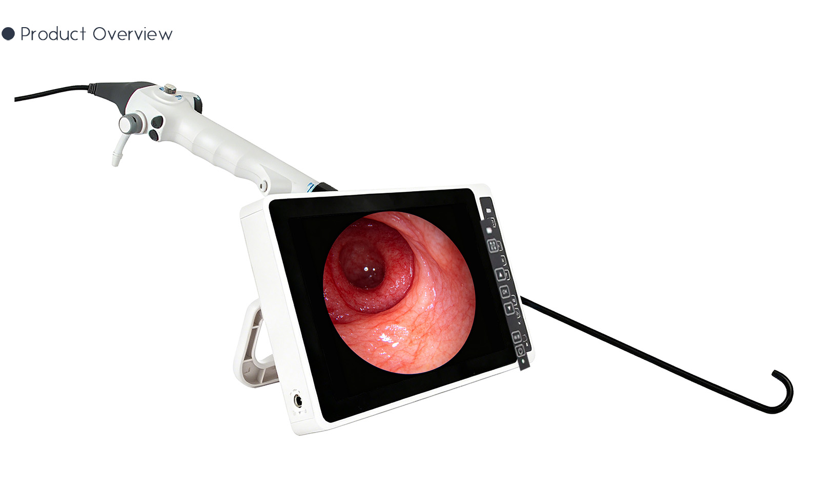 Cystopelvic endoscopic catheter with real-time endoscopic imaging display